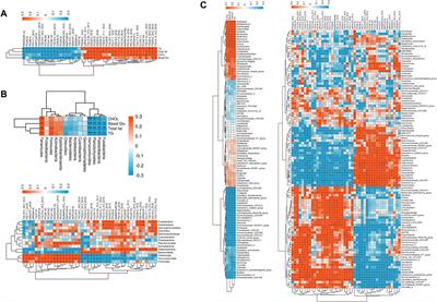 Buyang Huanwu decoction affects gut microbiota and lipid metabolism in a ZDF rat model of co-morbid type 2 diabetes mellitus and obesity: An integrated metabolomics analysis